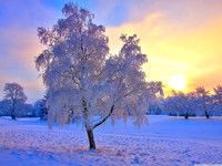 Winter3