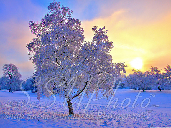 Winter3