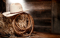 Western10