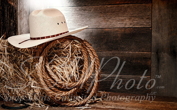 Western10