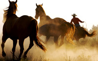 Western15