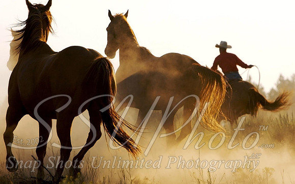 Western15