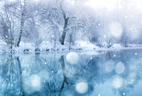 Winter4