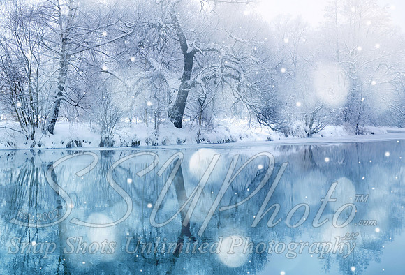 Winter4