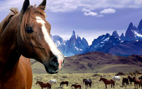Western19