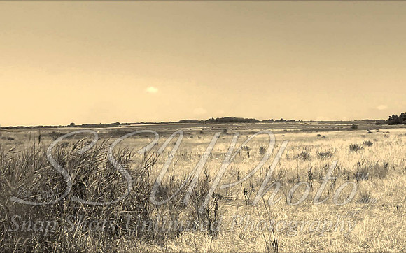 Western8
