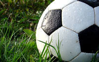 Sports14