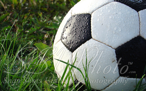 Sports14
