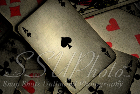 Vegas14