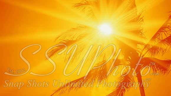 Summer16