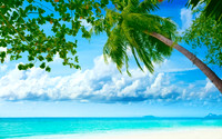 Summer5