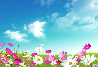 Spring5