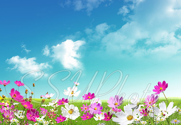 Spring5