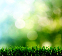 Spring8