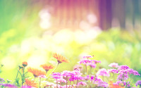 Spring3
