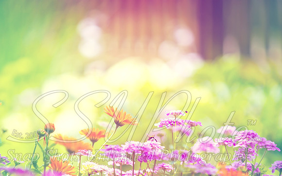 Spring3