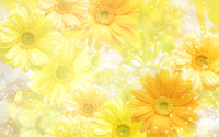 Spring4