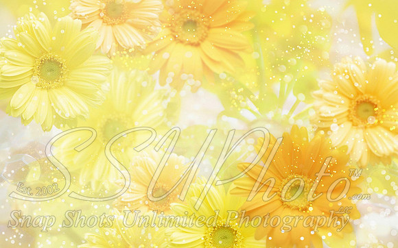 Spring4