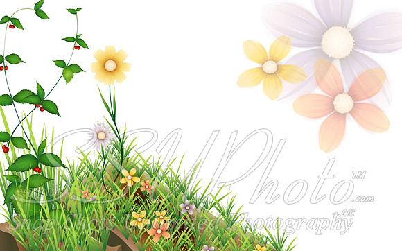 Spring9