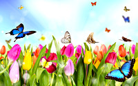 Spring2