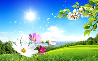 Spring6