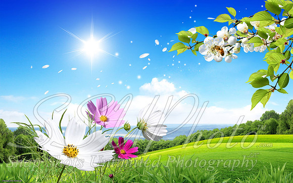 Spring6