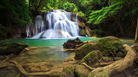 Nature2