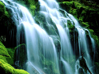 Nature3
