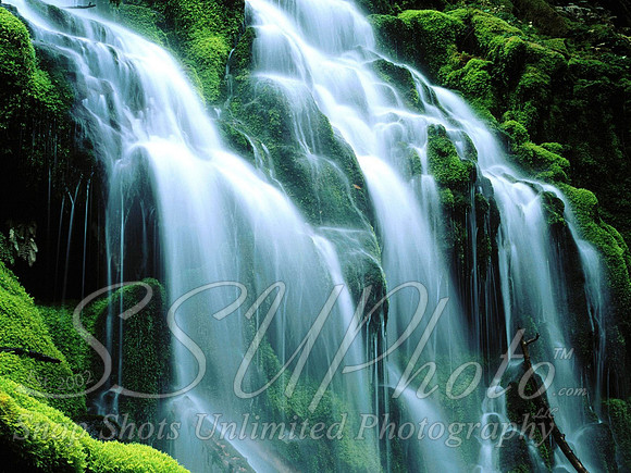 Nature3