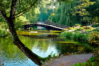 Nature4