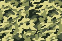Military17