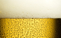 beer11