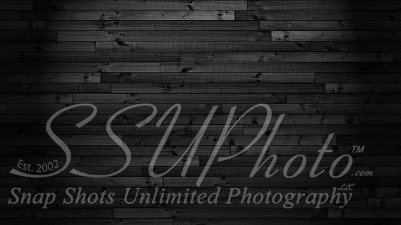 beer15