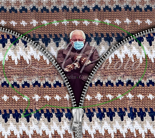 berniemittens
