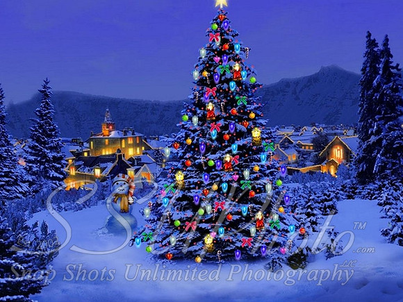 Christmas35