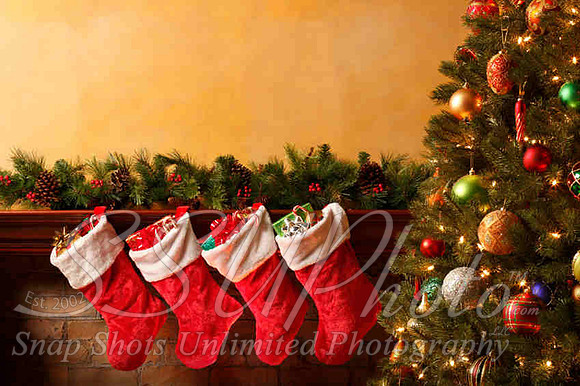 Christmas33