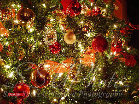 Christmas42