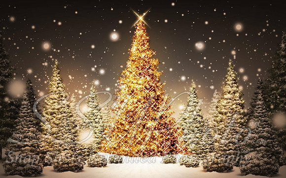Christmas38