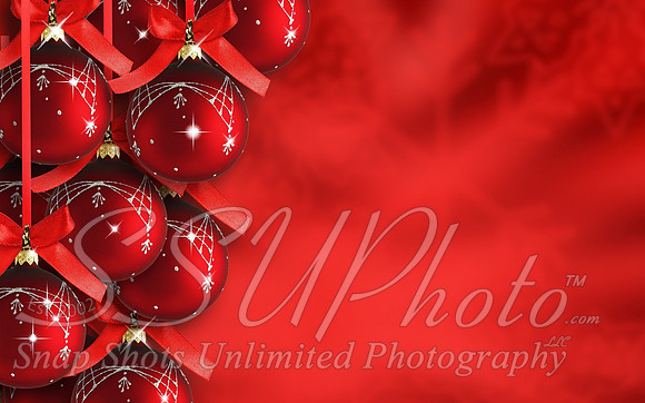 Christmas28