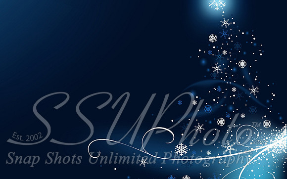 Christmas41