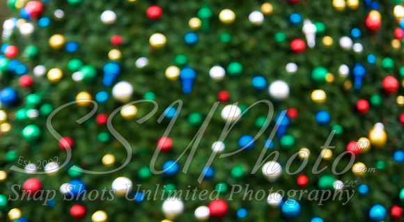 Christmas36