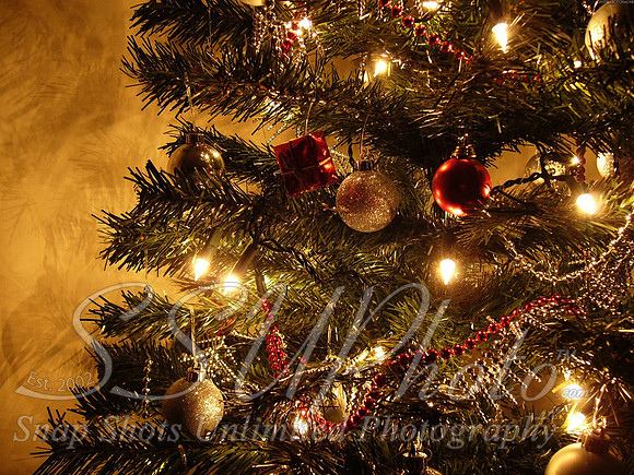 Christmas37