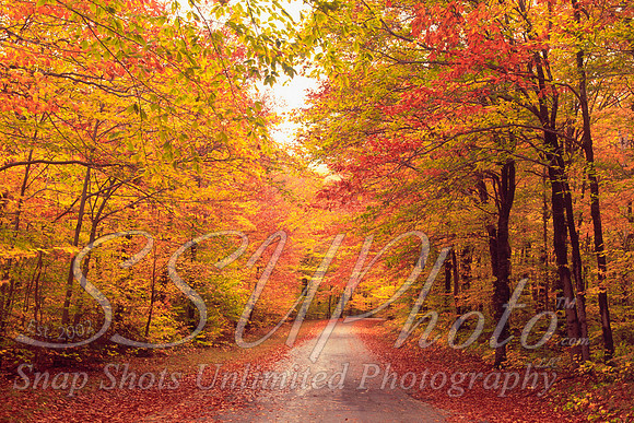 Fall5