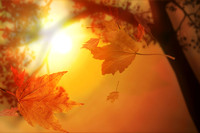 Fall9