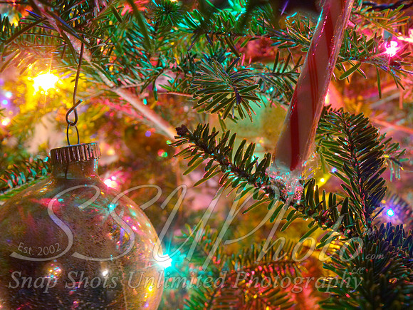 Christmas30