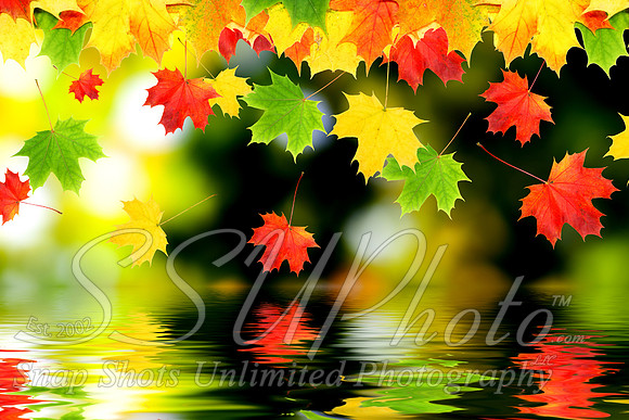 Fall10