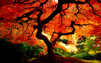 Fall4