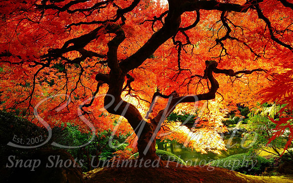 Fall4