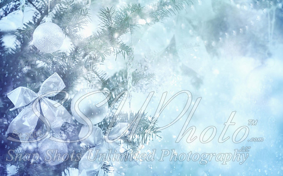 Christmas14