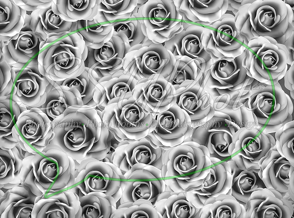 Roses03